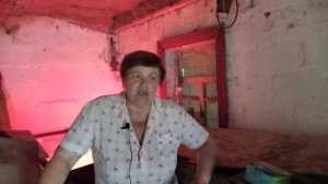 Обработка клетки (брудера) для цыплят