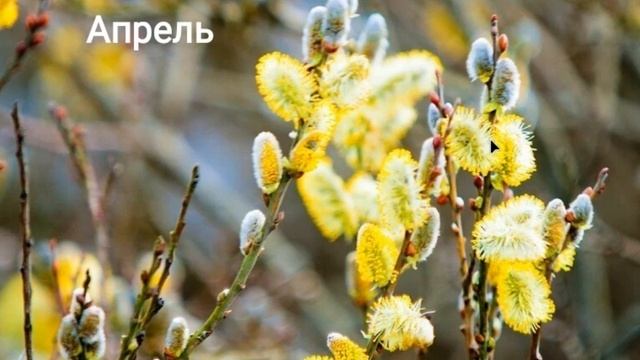 СИНИЧКИН КАЛЕНДАРЬ - Апрель