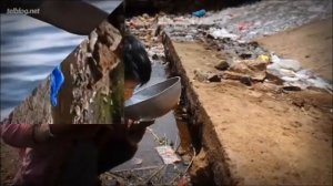 "Берегите землю, берегите!" экологическая пятиминутка