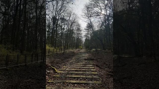 Großstadtoasen Berlin / Spandauer Forst