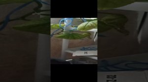 Мое хобби ?????