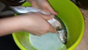 Керченская сельдь // Как вкусно посолить селедку в домашних условиях