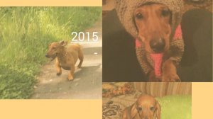 Заволжск. Наша Нюша