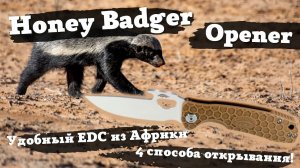 Обзор ножа Honey Badger Opener L. Интересный EDC из Африки: удобно носить, удобно открывать!