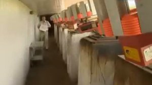 Алексей Алипов в программе "Все включено"