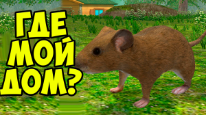 ?СИМУЛЯТОР МЫШИ? Где дом для мышонка? Ухаживаю за питомцем