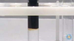 Взаимодействие иодида калия с нитритом натрия.