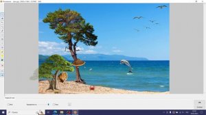 Создание коллажа "Море"с использованием Faststone Image Viewer
