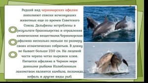 По страницам Красной книги Краснодарского края «Я с книгой открываю мир природы»