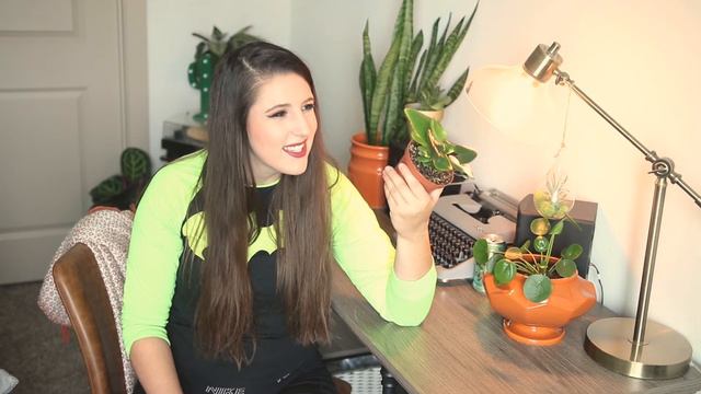 Heart Leaf Fern Hemionitis Arifolia Plant Care Guide For Beginners