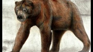 Короткомордый медведь | Гигантский медведь | Доисторический хищник