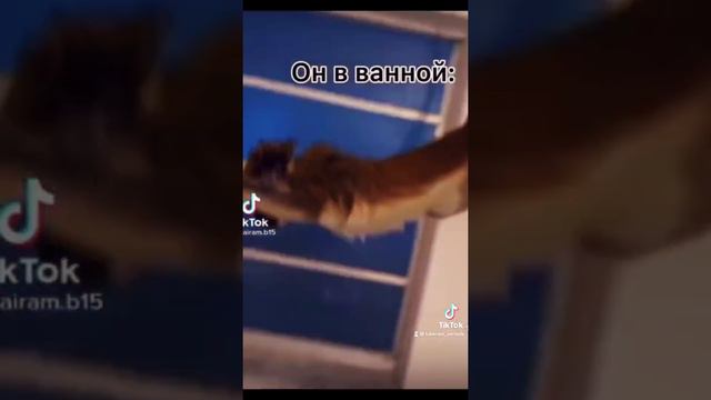 МУЖ В ВАННОЙ смотреть онлайн