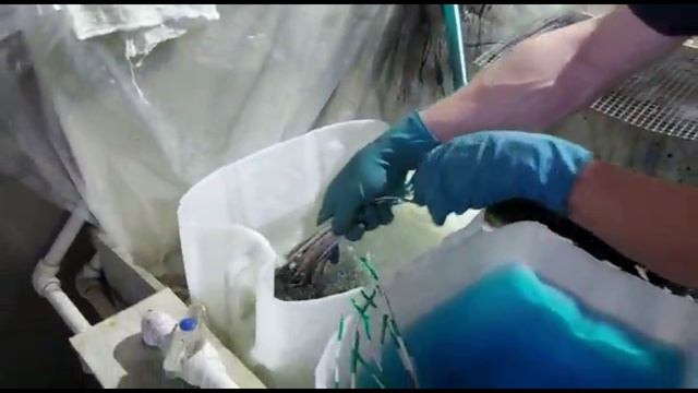 гальваника для бизнеса смотреть онлайн