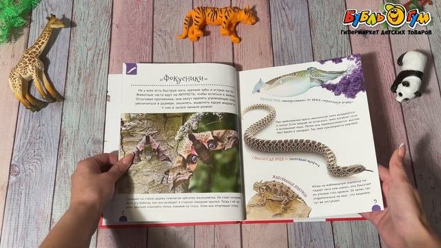 Книга Первая энциклопедия Удивительные животные