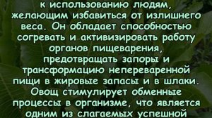ЧЕМ ТАК ПОЛЕЗЕН ХРЕН? Рецепты лечения