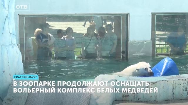Какие игрушки любят белые медведи в зоопарке Екатеринбурга