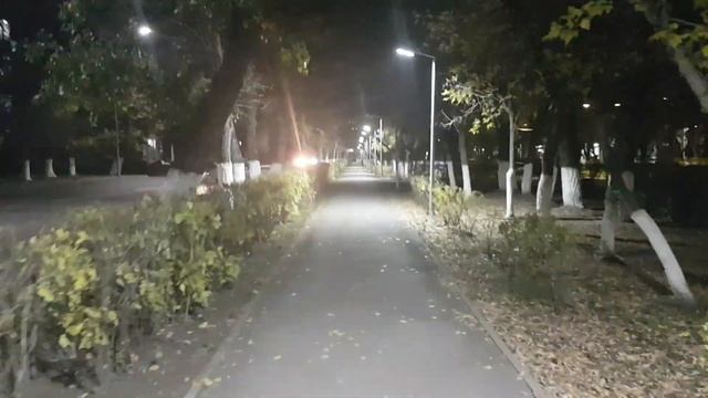 18.10.2023г., включили освещение прогулочных дорожек от ул.Ерубаева до Станиславского (Zebra Coffee смотреть онлайн