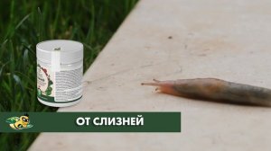 ОБЗОР КОЛЛЕКЦИИ БИОПРЕПАРАТОВ "ЖИВЫЕ БАКТЕРИИ" В 2024 ГОДУ