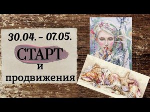 92. Продвижения за неделю | Старт РТО (комплектация Amishop), Dimensions | Вышивка крестом