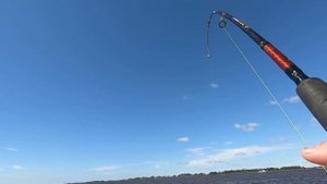 РЫБАЛКА НА КРУПНЫХ ЯЗЕЙ НА ИРТЫШЕ.