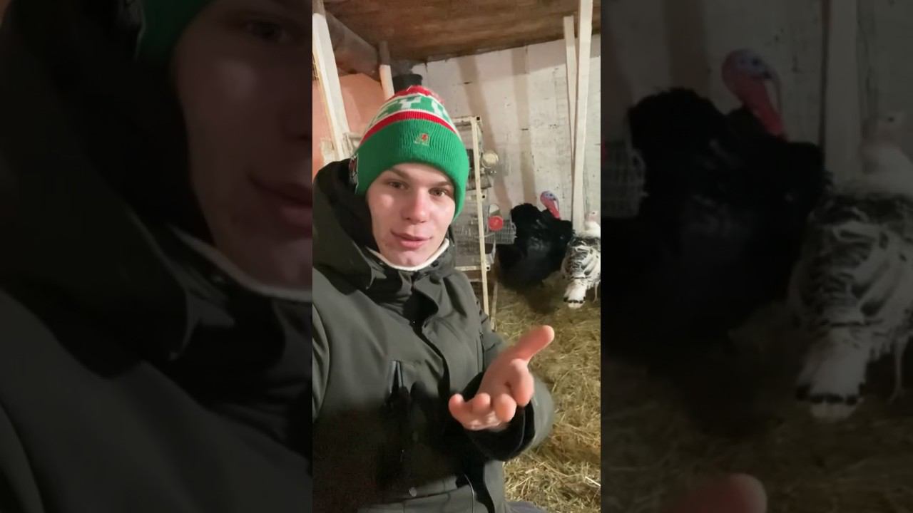 Перекличка в комментах, вы живы сегодня ? Откуда вы ? смотреть онлайн