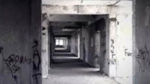 слово котана. корм на асфальте