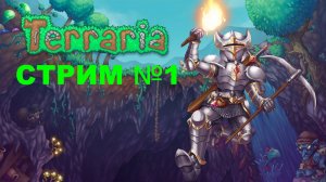 Terraria/будем много капать )