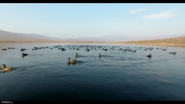 Фототур "Земля Сихотэ-Алиня". Октябрь 2016 года