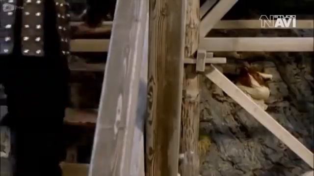 Afsungar Merlin Uzbek tilida