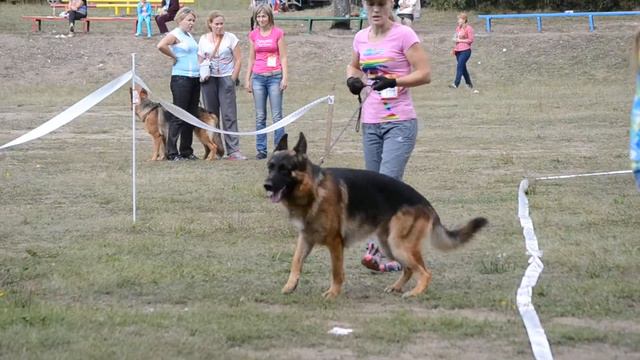 выставка Орел смотреть онлайн