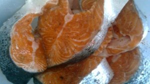 Шашлык из рыбы на костре