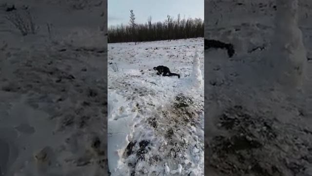 Снеговика с вертухи 😎 смотреть онлайн