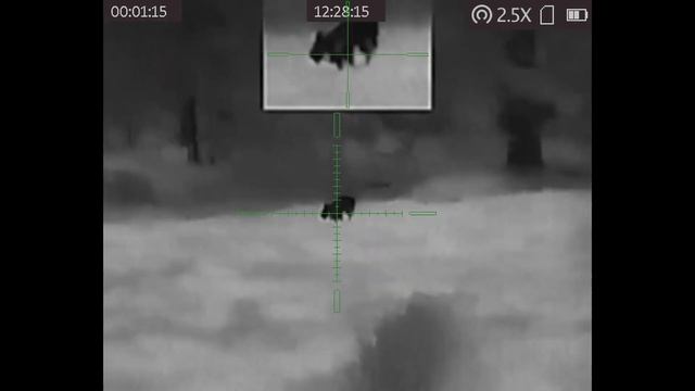 Hog taken with AGM Rattler TS 19-256 Thermal Scope (KM 3/13/23) смотреть онлайн