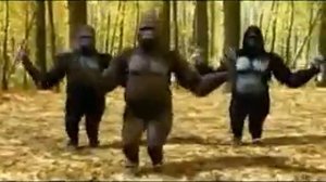 Прикол про Гарил