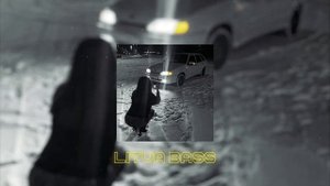 DZHIVAN – Автор (BASS+)