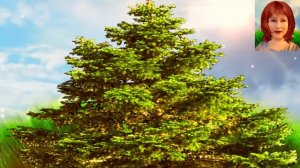 Славянские чертоги, чертог Лебедя по дате рождения