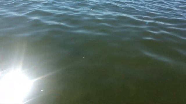Приморск Чистое море, прозрачная вода Ясная Поляна 09.09.20