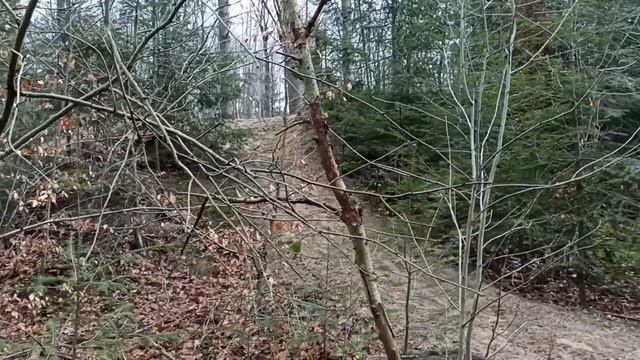 Виды лесных дорожек?Средство от морщин?Кэмпинг?️Город кротов смотреть онлайн