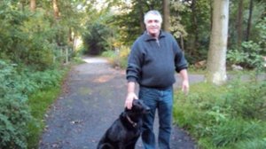 В городе тихая осень.