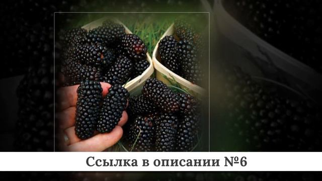 Новинки Товаров для сада из китая #2 смотреть онлайн