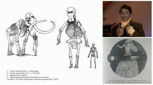 Антон Нелихов _ Мифическая палеонтология