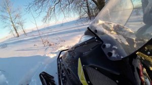 #Arctic cat #Ставр