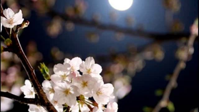 Raag Kaunsi Kanada, Alap, Ustad Sultan Khan, Shrimati Manju Mehta, Sarangi, Sitar, Jugalbandi смотреть онлайн