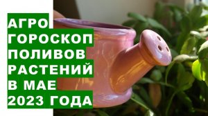 Агрогороскоп поливов растений на май 2023 года. Агрогороскоп поливів рослин в травні 2023 року