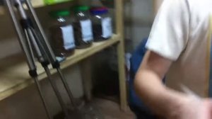 Завариваем золотую улитку