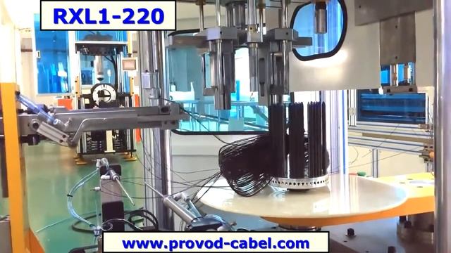 Станок автоматической всыпной намотки статора  RXL1-220