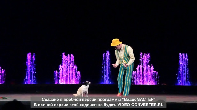 Comedy dog act- А. Loshkin 