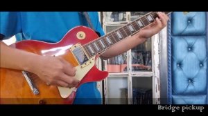 PRS SE 245 vs Epiphone Les Paul Standard