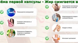 Купить орсофит в аптеке.