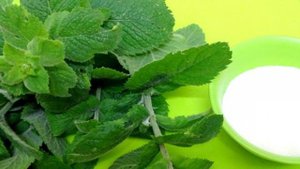 Мятный сахар